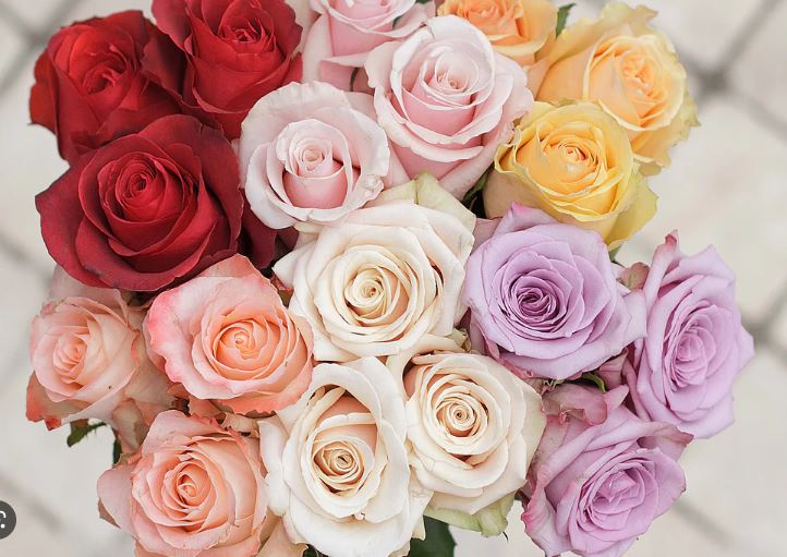 Meaning of Flowers Color